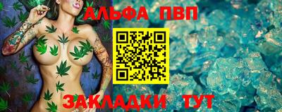 Альфа ПВП Будённовск
