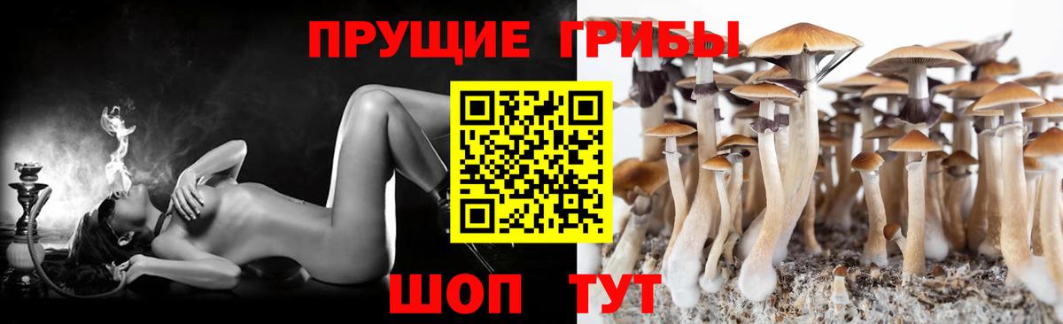 Галлюциногенные грибы прущие грибы Салават