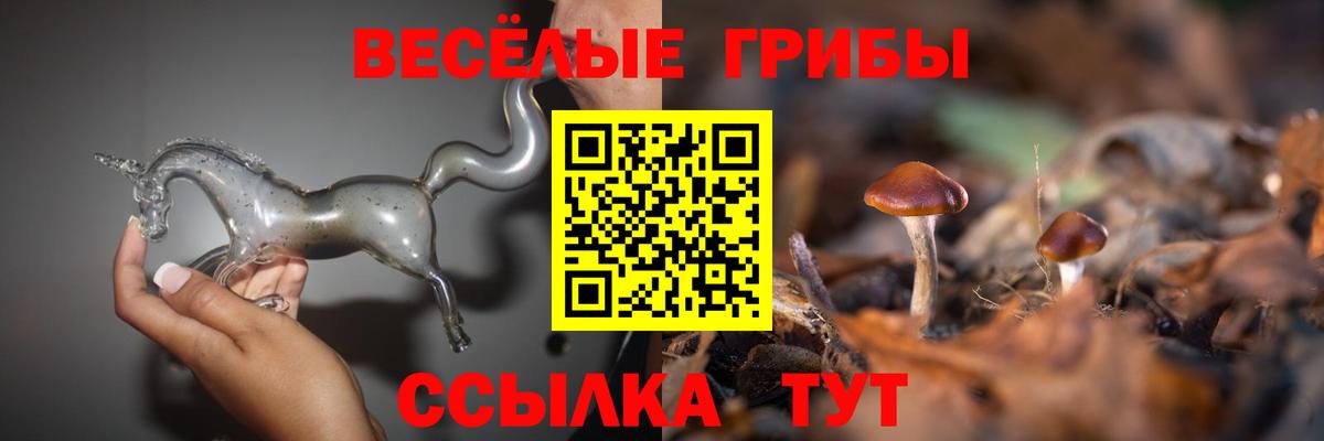 Псилоцибиновые грибы Psilocybe  Вход с VPN  Салават  Галлюциногенные грибы мухоморы 